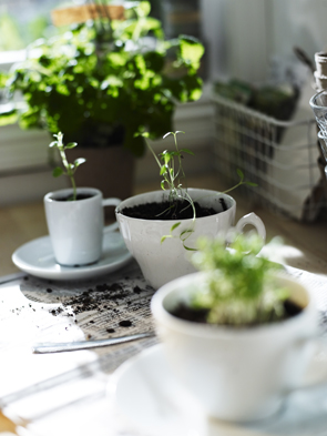 ���ՏN�����h(hu��n)����(d��ng)?sh��)? onerror=